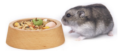 Rubor Cuenco De Comida Para Hamster, Plato De Comida De Cone