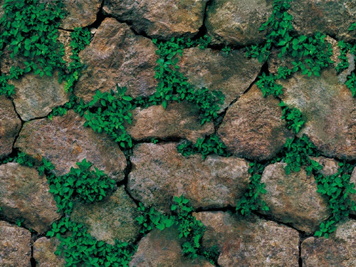Imagen 6 de 6 de Papel Tapiz Piedras Rocas Con Plantas Adhesivo Pared