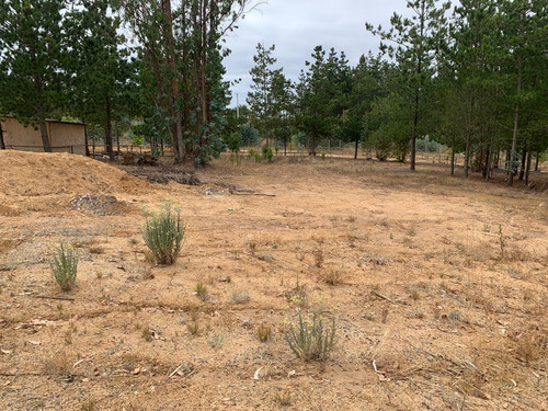 Hermoso Terreno En Condominio, Algarrobo