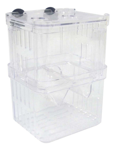 Caja De Cría De Acuario, Fácil De Usar, Tortuga Jugando,