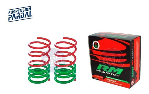 Kit Espirales Progresivos Delanteros Fiat Punto Rm Rmp117