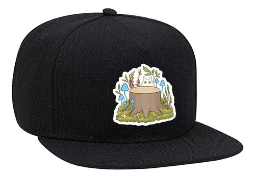 Gorra Snapback Totoro Ar1