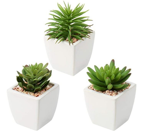 Plantas Suculentas Artificiales Pequeñas Plantas Suc