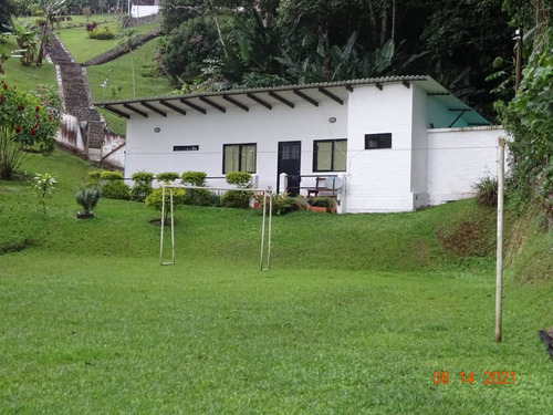 Imagen 17 de 18 de Vendo Casa Campestre Kilometro 18