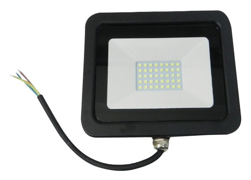 Reflector Led 30w Luz Blanca 6000k 110v Smd