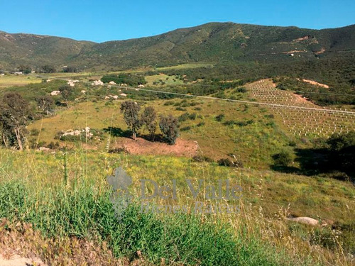 Imagen 6 de 18 de 3 Hectáreas En Valle De Guadalupe A Un Lado De Clos De Tres
