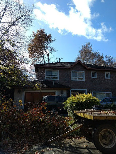 Imagen 9 de 10 de Poda Arboles Altura Riesgo - Zona Norte - Art Tala Y Derribo