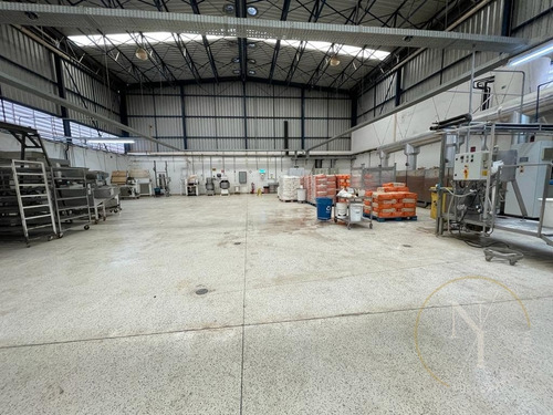 Imagem 4 de 15 de Excelente Galpão - 1400m² - Ramo Alimentício - Vila Lucia - São Paulo - 6726