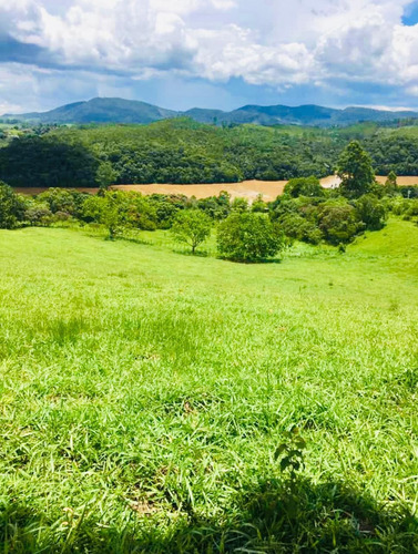 Imagem 12 de 14 de F16- Terrenos A Venda,com Ótima Vista