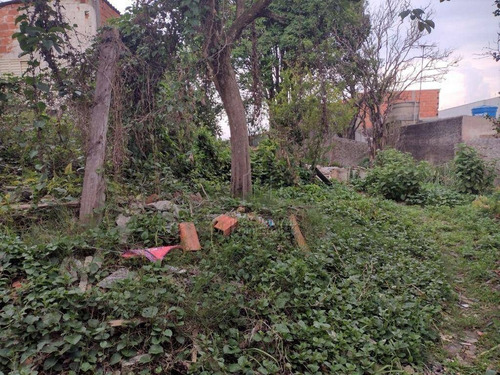 Imagem 8 de 20 de Terreno À Venda, 540 M² Por R$ 800.000,00 - Parque João Ramalho - Santo André/sp - Te1174