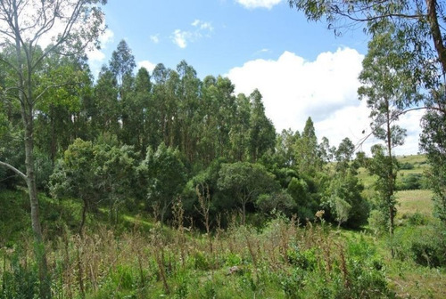 Campo En Venta