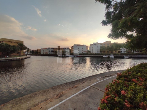 Imagen 12 de 13 de Venta Apartamento Lecheria Morro Humboldt