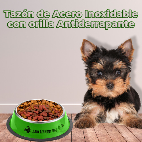 Tazón Plato Mascotas Acero Inoxidable Antiderrapante Tamaño S Color Verde