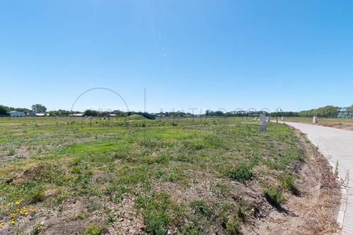 Imagen 24 de 25 de Lote 151 En Developer Park Oportunidad!!!