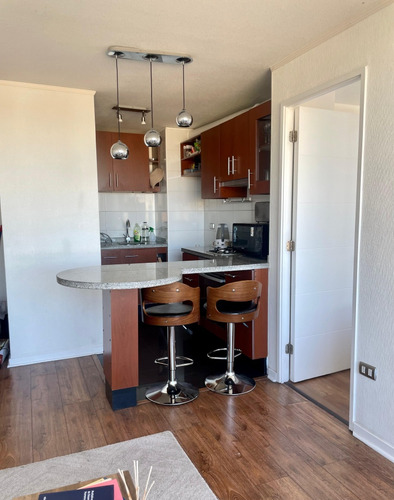 Hermoso Depto Concepción