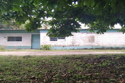 Imagen 4 de 10 de Fp Asein1608 Vende Excelente Finca De 12 Hectáreas En Montalbán Estado Carabobo