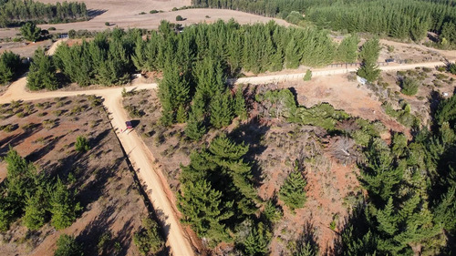 Parcela En Venta En Pichilemu