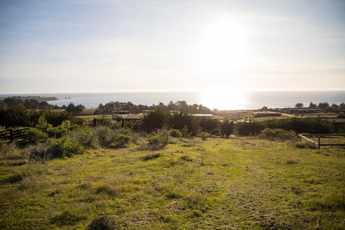 Vista Horizonte Punta De Lobos