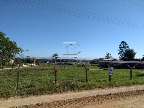 Imagem 8 de 15 de Sitio - Coqueiros - Ref: 26160 - V-26160