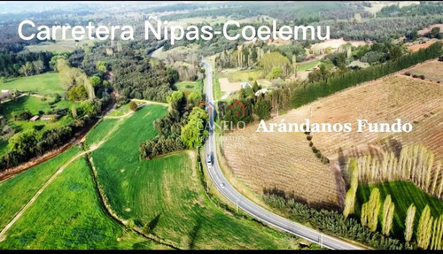 Se Vende Parcela, N11, Ñipas.