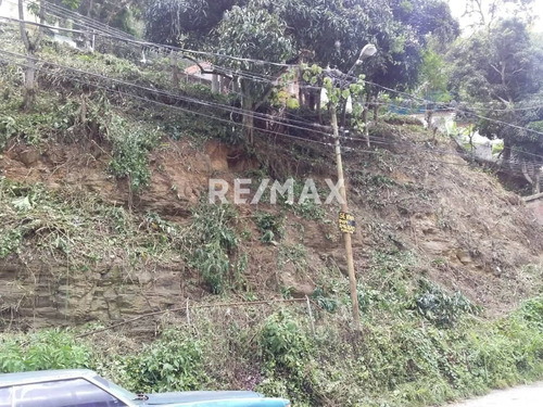 Imagen 8 de 8 de En Venta Terreno En El Sector Figueroa.