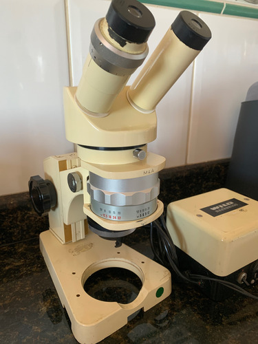 Microscopio Wild Heerbrugg Completo Para Entomologia!! Amarelo (Usado)