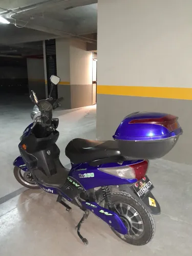 Ecofly Rx 2022