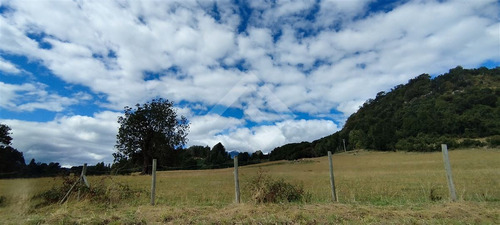 Sitio - 5.000 M2 Cada Uno - Cascadas - Puerto Octay