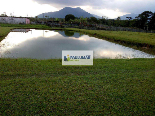 Imagem 11 de 23 de Sítio Com 3 Dorms, Agenor De Campos, Mongaguá - R$ 2.5 Mi, Cod: 827950 - V827950