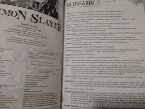 Mangá Demon Slayer - Kimetsu No Yaiba # 21 - Koyoharu Gotouge - Panini