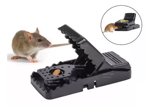 Comprar Trampa para ratones multiusos con tapa deslizante para ratas, trampa  para ratones, trampas para cubos para ratones