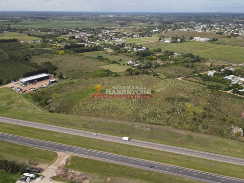 Terreno Logístico Sobre Ruta 5 Con 200 M De Frente, Dueño Financia!