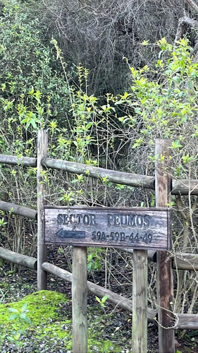 Parcela Bosques Aculeo Reserva