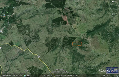 Campo En Venta En Lavalleja. 21 Hectáreas.