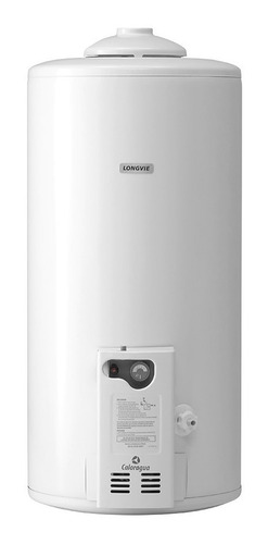 Imagen 1 de 2 de Termotanque A Gas Longvie 75 Litros De Colgar T3075cf