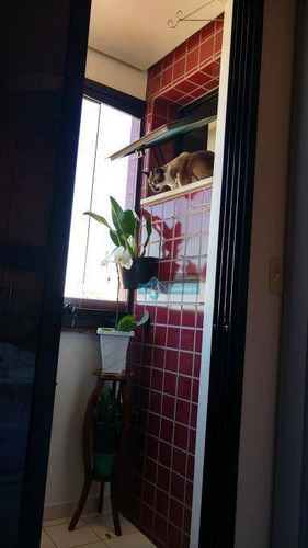 Imagem 11 de 20 de Apartamento Residencial À Venda, Tatuapé, São Paulo. - Ap1846