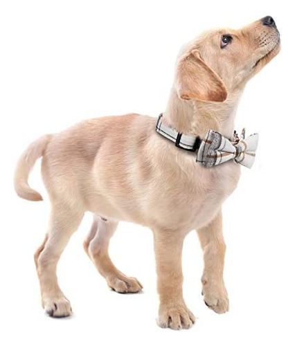 Collar De Perro Con Pajarita Suave Y Cómodo De Faleela, Coll