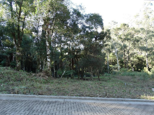 Imagem 14 de 15 de Terreno À Venda, 463 M² Por R$ 446.800,00 - Vivendas Do Arvoredo - Gramado/rs - Te0093