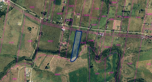 Imagen 4 de 7 de Campo 4 Hectareas Con Arroyo Sobre Ruta 12 En Tala