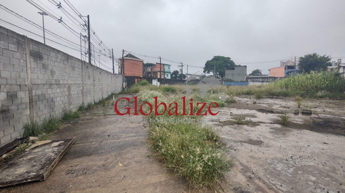 Imagem 11 de 22 de Terreno - Te00010 - 70765109