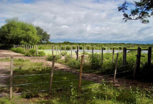 Imagen 5 de 19 de Estancia El Porvenir 200 Hectáreas Juan José Castelli