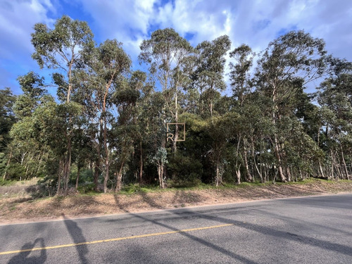 Terreno En Parque Burnett