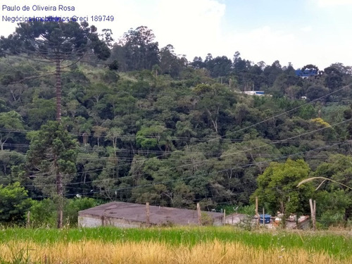 Imagem 14 de 17 de Terreno - Te00050 - 69320696