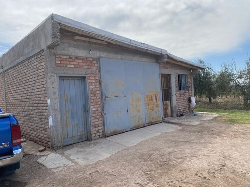 Venta De Finca Productiva En La Heras 31 Hs De Viñedos Y Riego Por Goteo