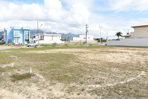 Imagem 4 de 11 de Condomínio Flora Rica - Peruíbe / Sp - Terreno À Venda.