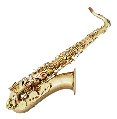 Sax Tenor Hoyden Laqueado - Hts-25l