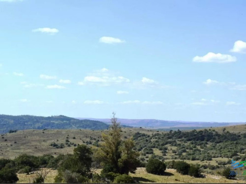 Imagen 1 de 15 de Chacras Serranas, 5 Has Por $ 50.000...!!!