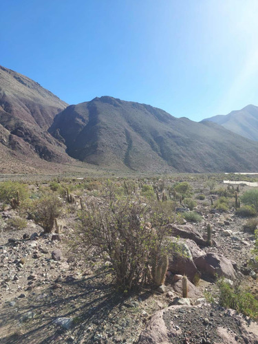 Venta Sitio En Vicuña Valle De Elqui