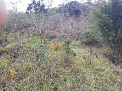 Imagem 17 de 30 de Sitio - St00050 - 68459069