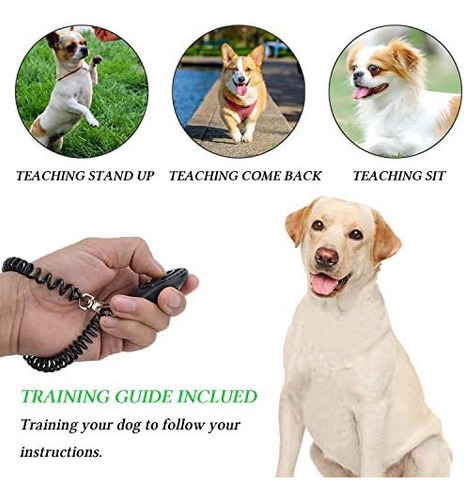 D-buy Juego De Entrenamiento Para Perros 4 En 1, Golosinas P